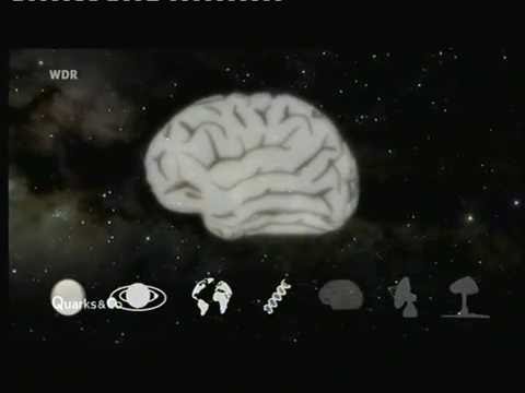 Quarks & Co: Die Suche nach Außerirdischem Leben (2009)