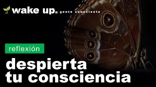 El Despertar de la Consciencia, la metamorfosis de la mariposa