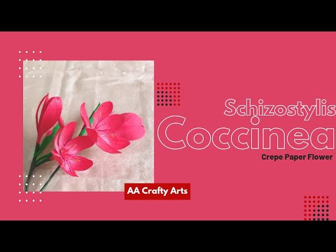 How To Make A Paper Schizostylis Coccinea | Crepe Paper Flower | DIY Hand-Made