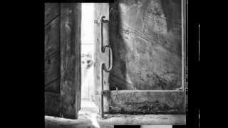 Io Vivo Come Te - Pino Daniele