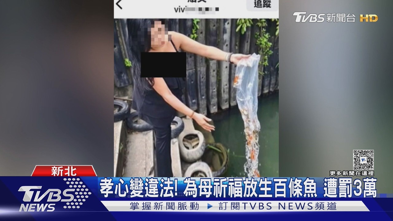 影音/稱為病母祈福...新北女買百隻金魚「放生碧潭」 動保處開罰