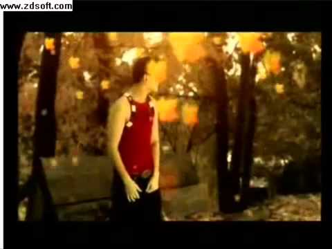 Bobo az jargal xaalgiig mini dogshino