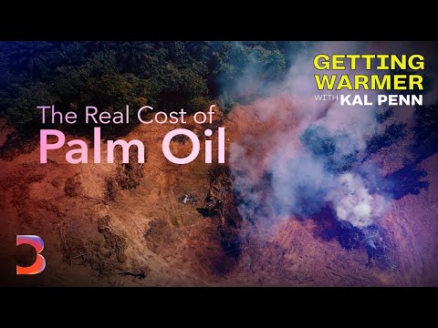 The Everyday Ingredient Destroying the Planet