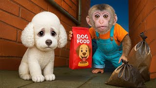 Hush Little Baby | Baby Monkey Nursery Rhymes & Kids Songs