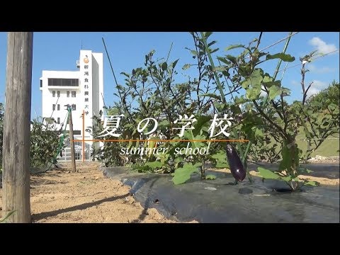 【イベント動画】夏の学校