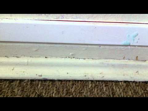 comment nettoyer quick step