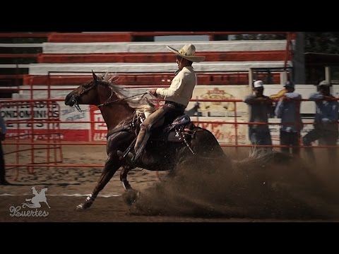 1st Place Cala de Caballo - Explanada Vallarta 2017 MPI