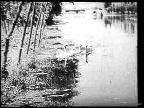 "Seethali Seethalai" - Latha Walpola (Sukumali, 1957)