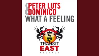 What a Feeling (Radio Edit)