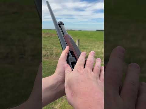 An old Winchester 1200 shotgun 12ga #hunting #gun #gunhistory #shotgun