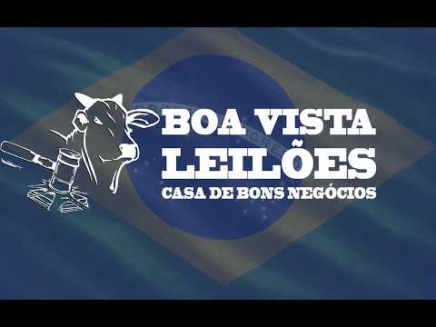 Boa Vista Leilões São Luis de Montes Belos  - GO 29/06/2026