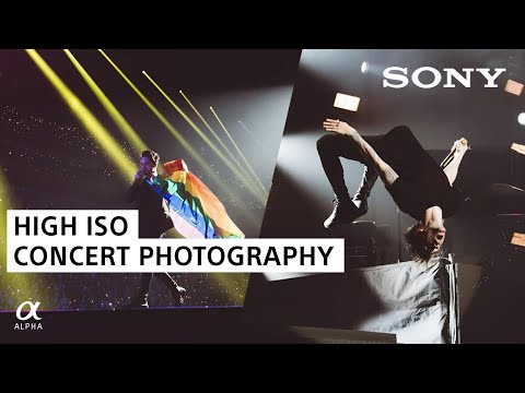 ISO Capabilities for Concert Photography | Sony Alpha Cameras