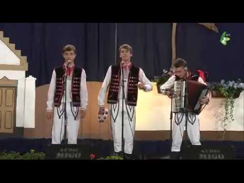 CIHANOČKO MOJA - Trio "Laborski betjare", Medzilaborci