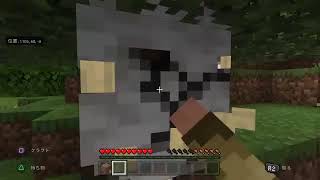 マイクラ　のんびりやっていく