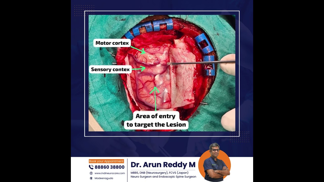 Words about clinic on clinic opening day