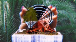 Beta Frontiers -  If I Stayed ft. Carmen Elle [AUDIO]