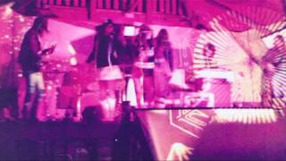 The Magic Mushroom Band