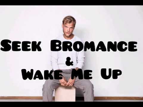 Seek Bromance & Wake Me Up (Avicii) | remix Alexis