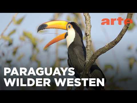 Im Herzen des Gran Chaco | Paraguays unbekannte Schätze | ARTE Fernweh