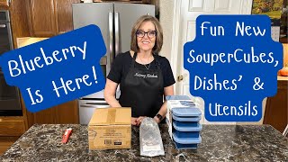 Box opening - Fun New Blueberry SouperCubes Dishes and Utensils