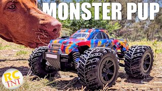 Can an RC Monster Truck Be Too Small?