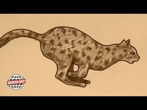 Doveman and Tom Kalin - 