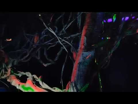 Psykia @ Discovalley Night, Shiva Place, Goa '19