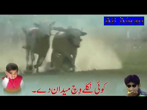 To gabru jatt punjab da Punajabi adab Song