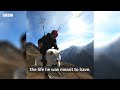 How Ouka the dog became an expert paraglider - BBC News
