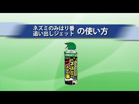 トガリネズミを庭から追い出したほうがいいでしょうか？やり方は？私たちは本物と偽物を区別します！  庭園