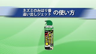動画のサムネイル