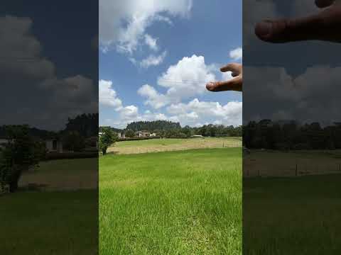 Invierte en tu Lote campestre entre Circacia y Filandia