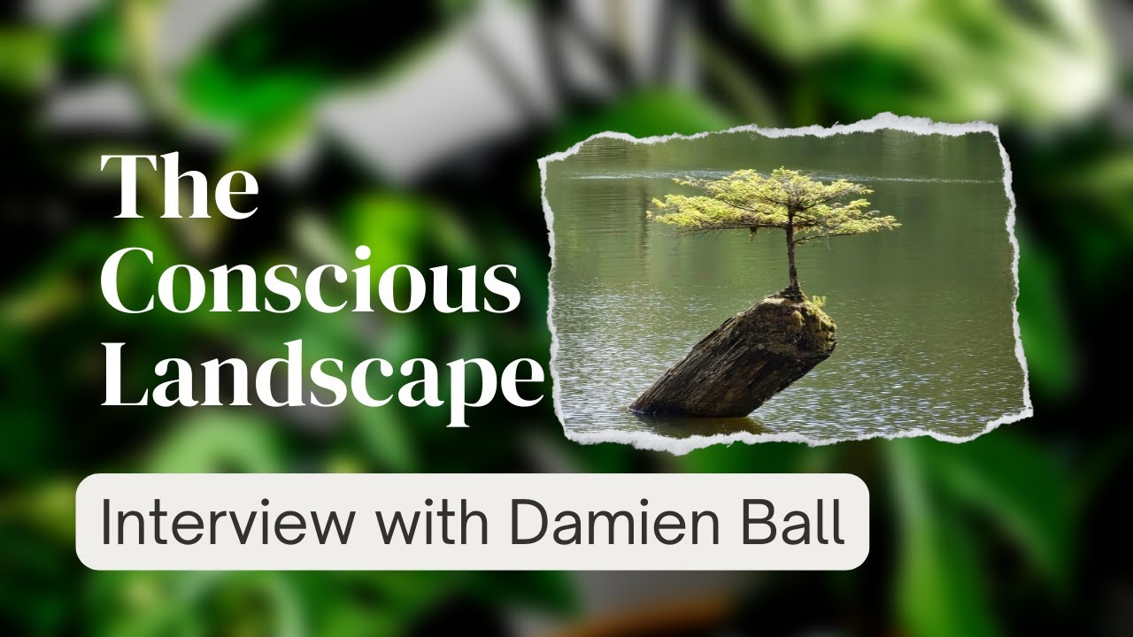The Conscious Landscape: Damien Ball on the Soul of Landscape Design
