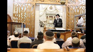 | הרב שמואל אליהו | קול צופייך לפרשת שופטים תשפ"ה (הרב שמואל אליהו) - התמונה מוצגת ישירות מתוך אתר האינטרנט יוטיוב. זכויות היוצרים בתמונה שייכות ליוצרה. קישור קרדיט למקור התוכן נמצא בתוך דף הסרטון