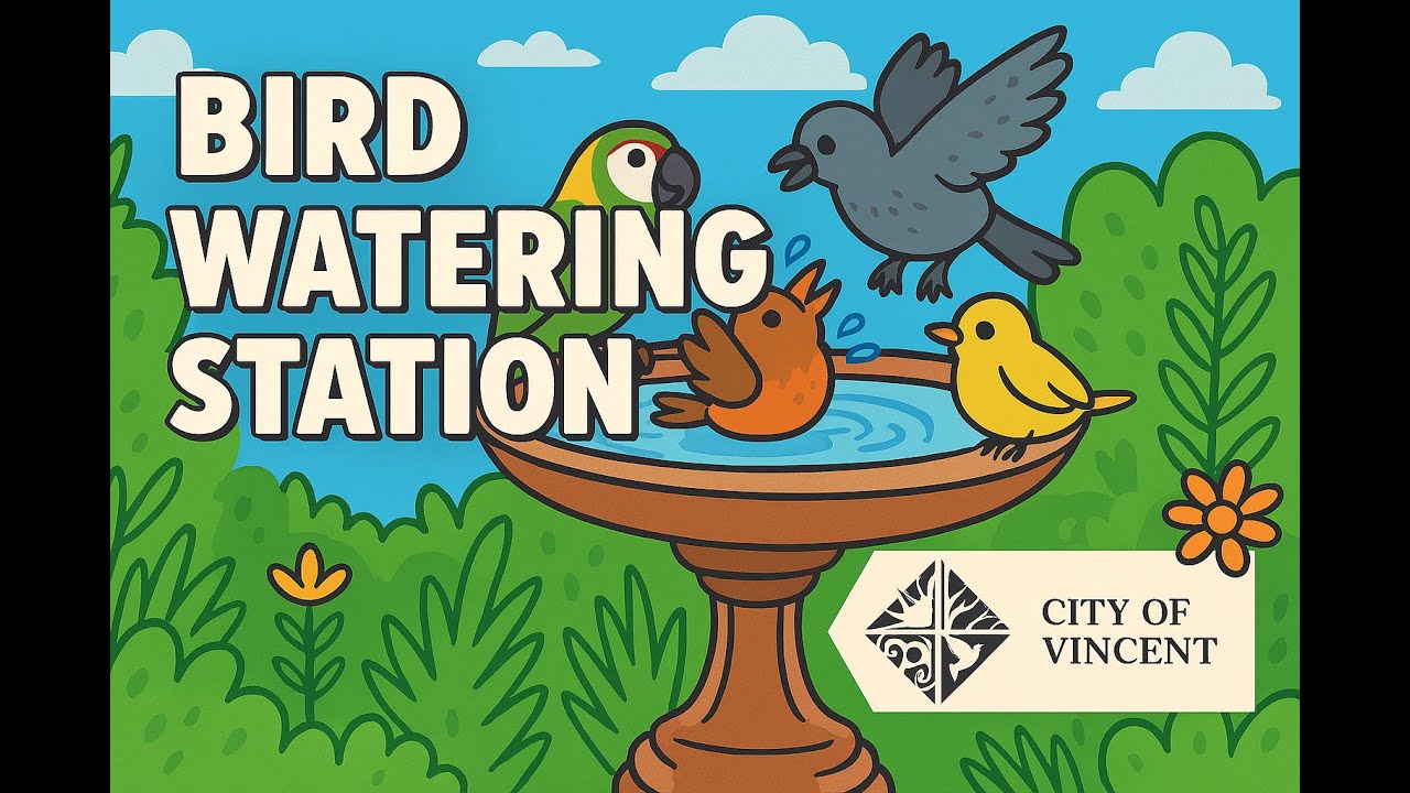 Live webcam view of Cockitrough Bird Watering Station
