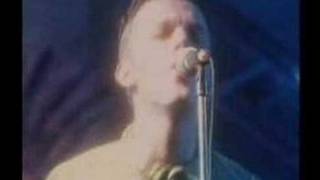 Camouflage-One Fine Day