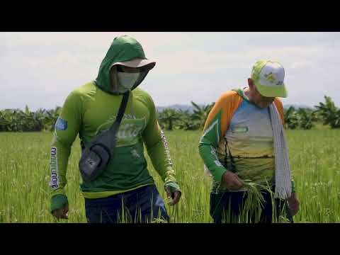 Historia del asociado Ernesto Zúñiga Tobar en Coagronorte