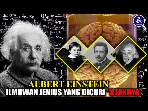 MENOLAK JADI PRESIDEN ISRAEL! Inilah Biografi dan Fakta Mengejutkan Albert Einstein Ilmuwan Abad 20