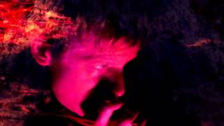 Divine Fits - Would That Not Be Nice