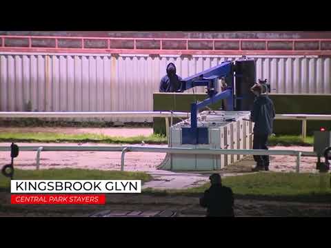Kingsbrook Glyn - Central Park Stayers