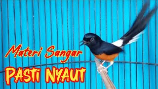 Download lagu PANCINGAN JOS MURAI BATU GACOR FULL ISIAN, SEKALI DENGAR AMPUH BUKIN MURAI EMOSI NAIK DRASTIS mp3 Download lagu PANCINGAN JOS MURAI BATU GACOR FULL ISIAN, SEKALI DENGAR AMPUH BUKIN MURAI EMOSI NAIK DRASTIS mp3