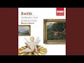 Symphony No. 7 in D Minor, Op. 70, B. 141: IV. Finale. Allegro