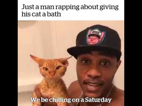 Man Raps About Giving His Cat A Bath