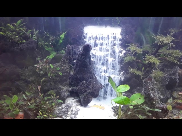 Aquascape air terjun