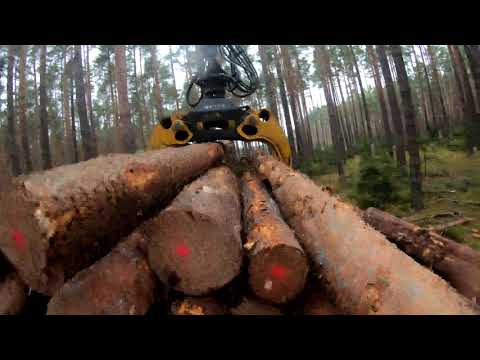 Forest adventure #69 the number is taken #goprohero7black