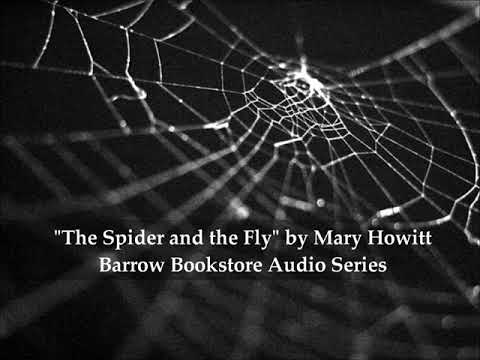 The Spider and the Fly by Mary Howitt