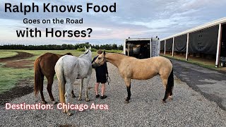 Hoofin' It to Chicago: Food Reviews on the Go!