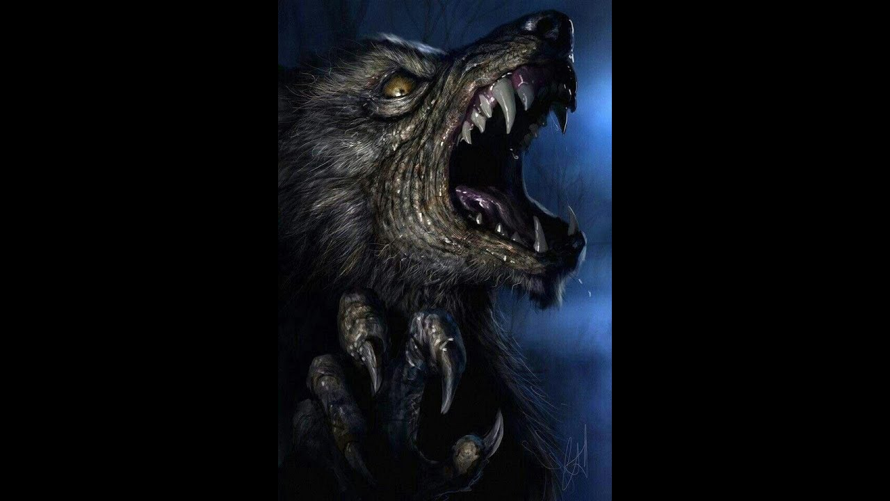 SÓ OS MELHORES RELATOS INÉDITOS DE LOBISOMEM.