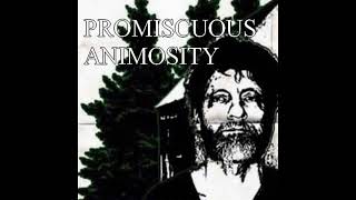 Cover art for Promiscous Animosity