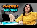 COOKIE KA ROUTINE Aayu And Pihu Show